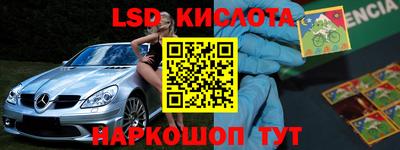 крисы Нальчик