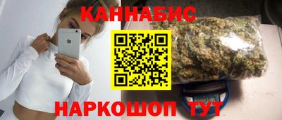 крисы Нальчик