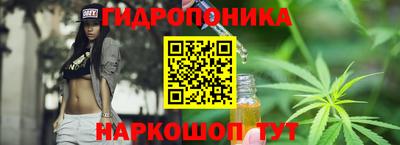 крисы Нальчик