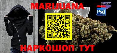 крисы Нальчик