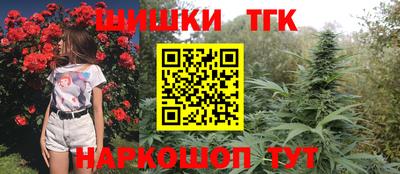 крисы Нальчик