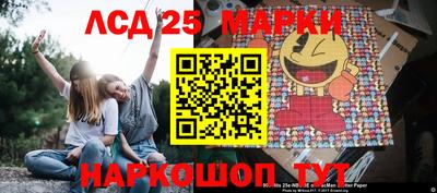 крисы Нальчик