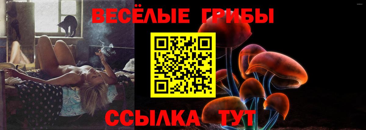 Галлюциногенные грибы Psilocybine cubensis Великий Устюг